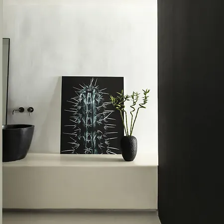 نيمبوس ميكونوس فندق